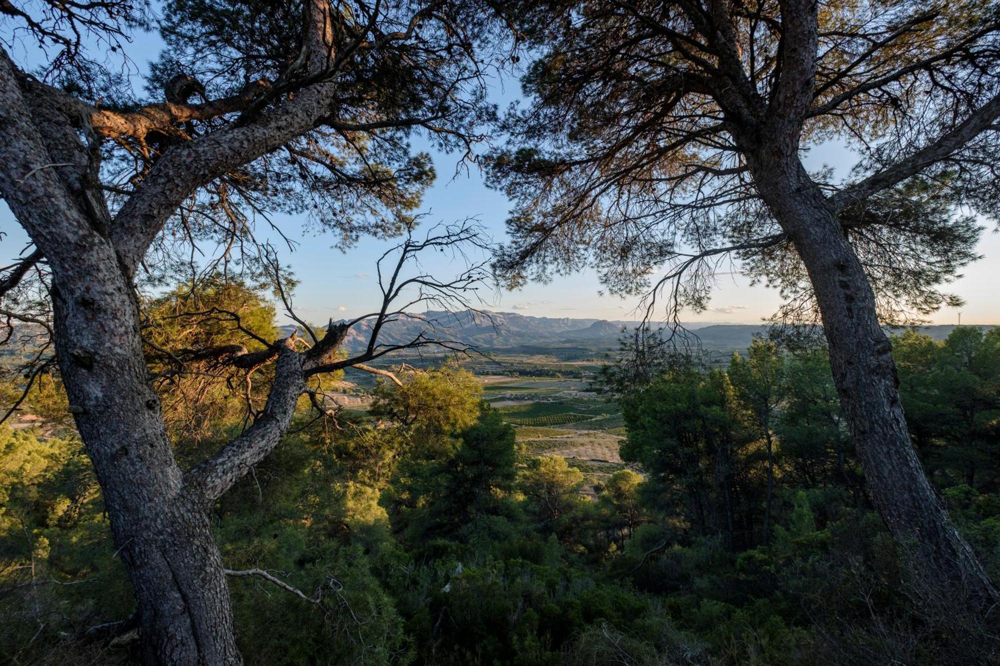 Appartamento Enoturismo Celler Piñol Batea Esterno foto