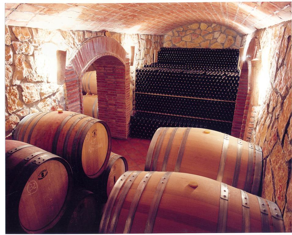 Appartamento Enoturismo Celler Piñol Batea Esterno foto