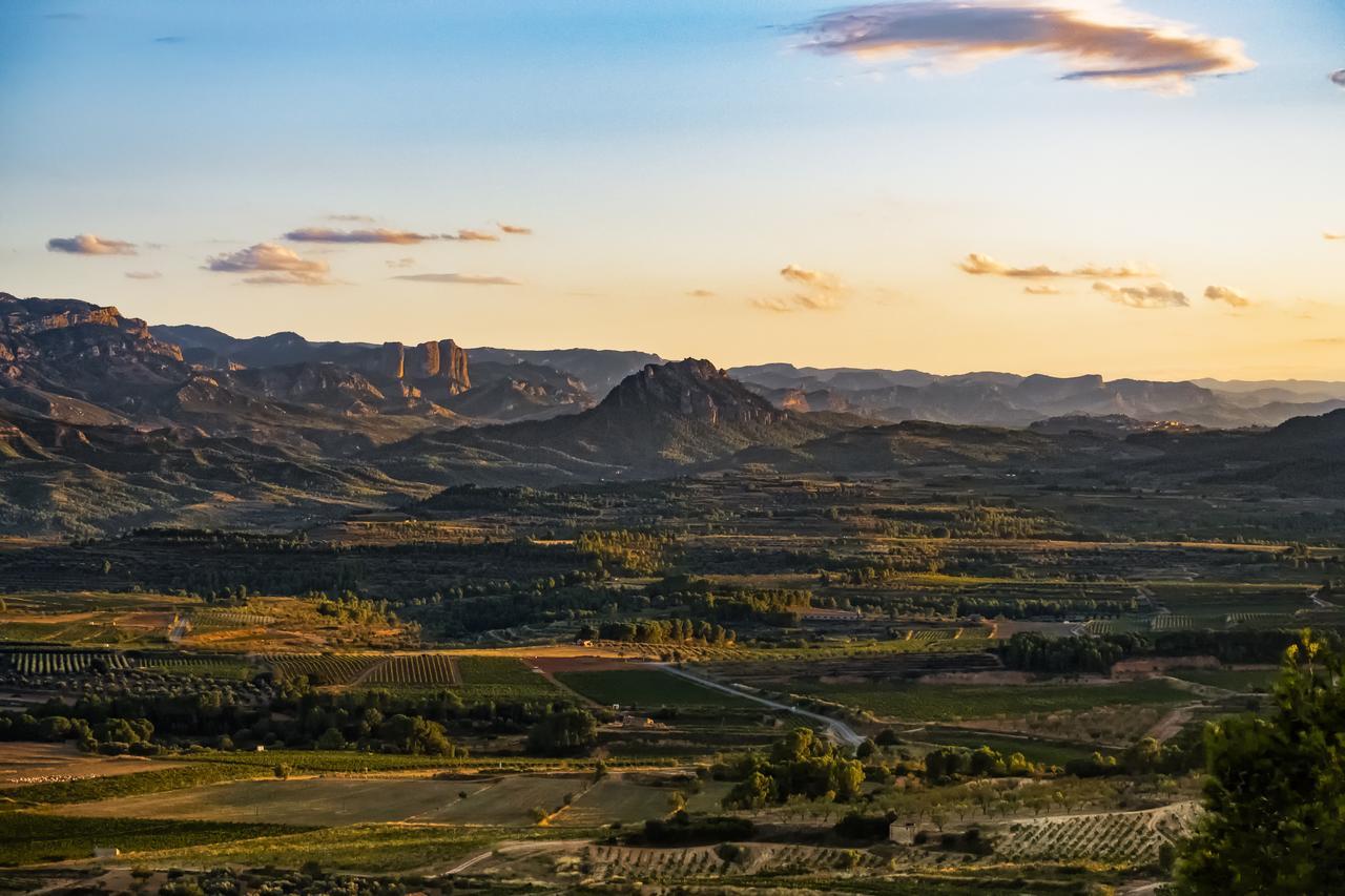 Appartamento Enoturismo Celler Piñol Batea Esterno foto